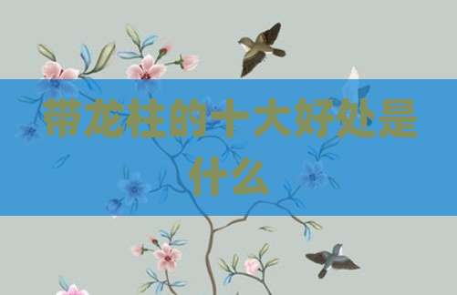 带龙柱的十大好处是什么