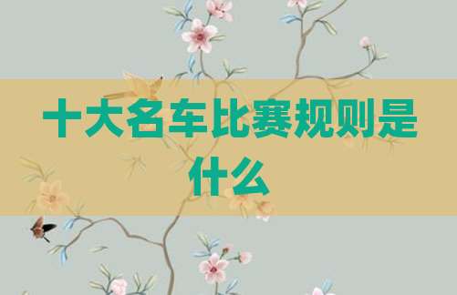十大名车比赛规则是什么