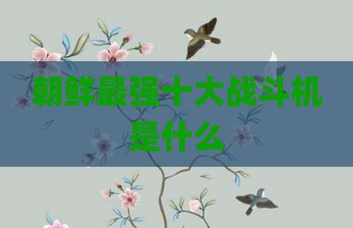 朝鲜最强十大战斗机是什么