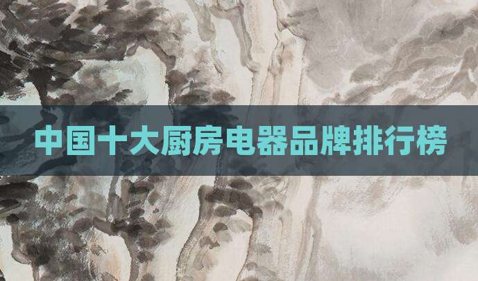 中国十大厨房电器品牌排行榜