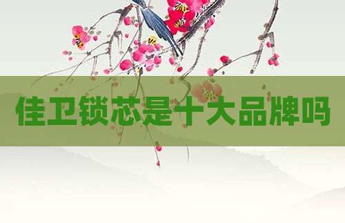 佳卫锁芯是十大品牌吗