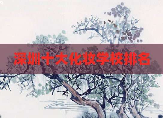 深圳十大化妆学校排名