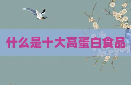什么是十大高蛋白食品