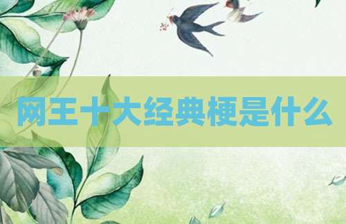网王十大经典梗是什么