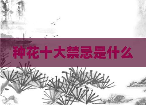 种花十大禁忌是什么