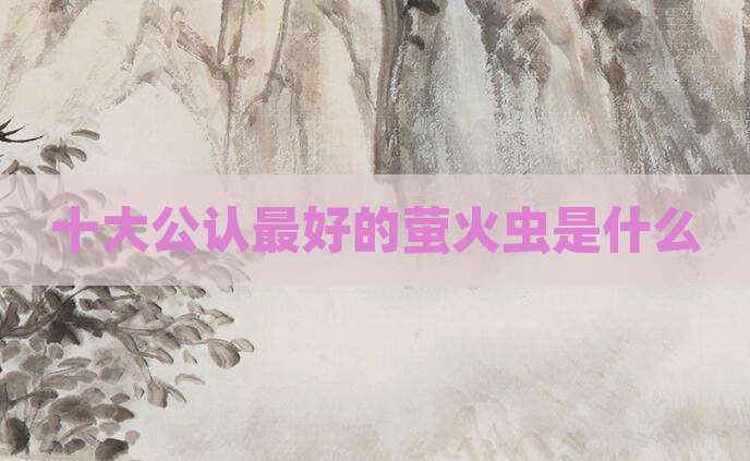 十大公认最好的萤火虫是什么