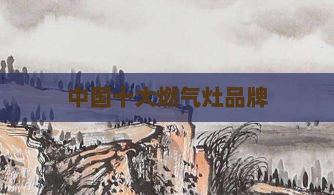 中国十大燃气灶品牌