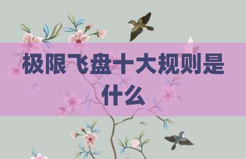 极限飞盘十大规则是什么