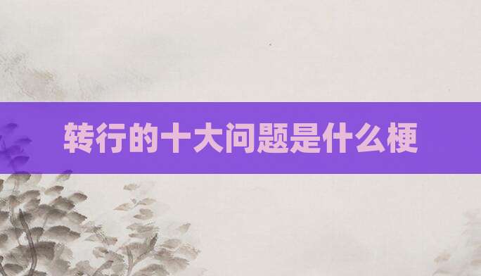转行的十大问题是什么梗