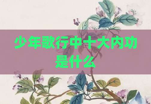 少年歌行中十大内功是什么