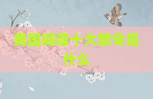 美国间谍十大禁令是什么