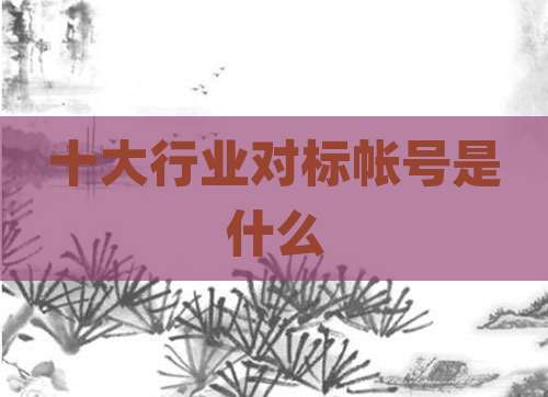 十大行业对标帐号是什么