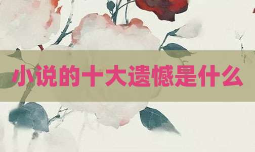 小说的十大遗憾是什么