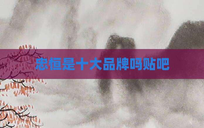 忠恒是十大品牌吗贴吧