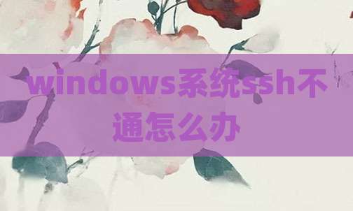 windows系统ssh不通怎么办