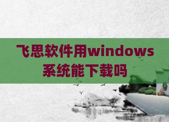 飞思软件用windows系统能下载吗