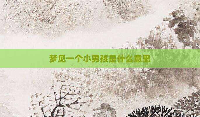 梦见一个小男孩是什么意思