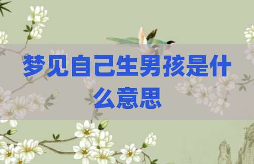 梦见自己生男孩是什么意思
