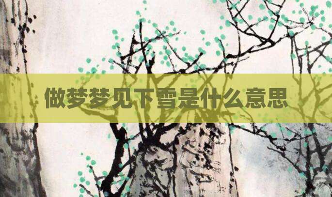 做梦梦见下雪是什么意思