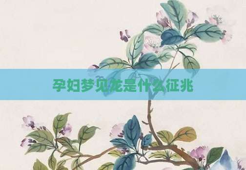 孕妇梦见龙是什么征兆