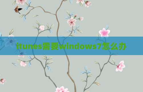 itunes需要windows7怎么办