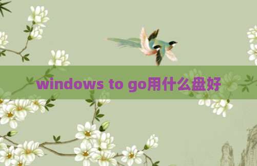 windows to go用什么盘好
