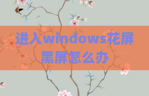 进入windows花屏黑屏怎么办