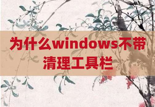 为什么windows不带清理工具栏