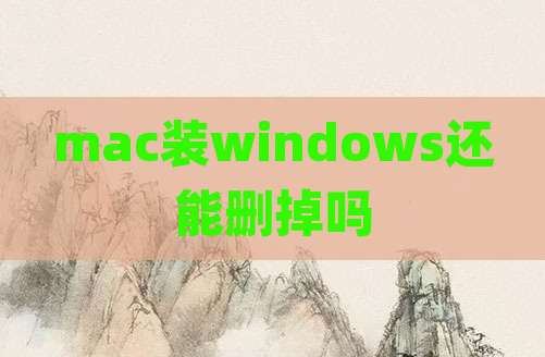 mac装windows还能删掉吗