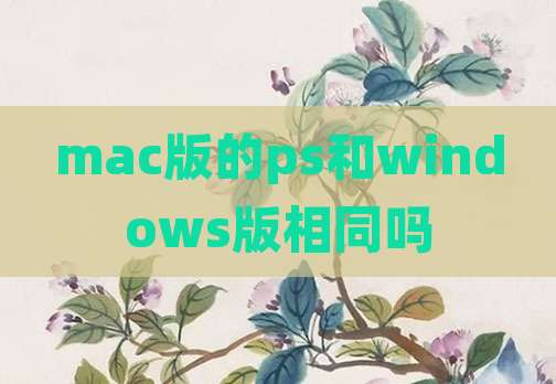 mac版的ps和windows版相同吗