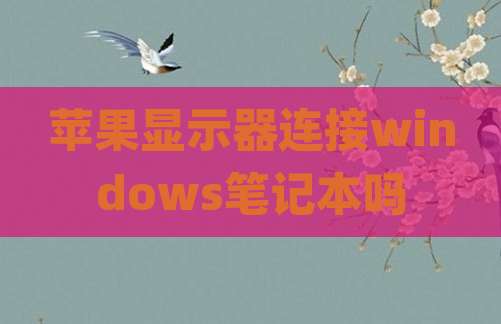 苹果显示器连接windows笔记本吗