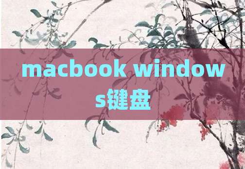 macbook windows键盘
