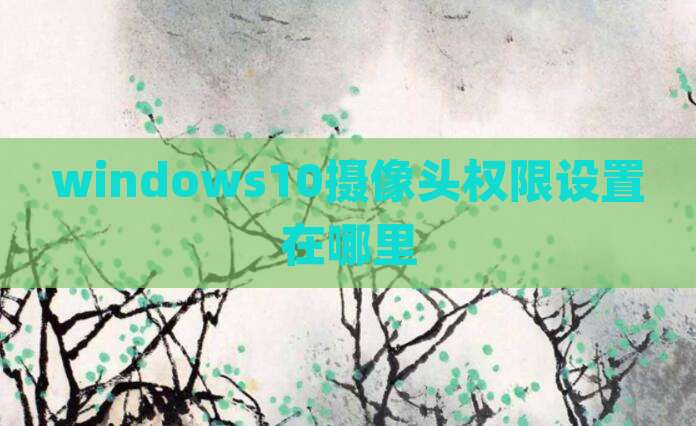 windows10摄像头权限设置在哪里