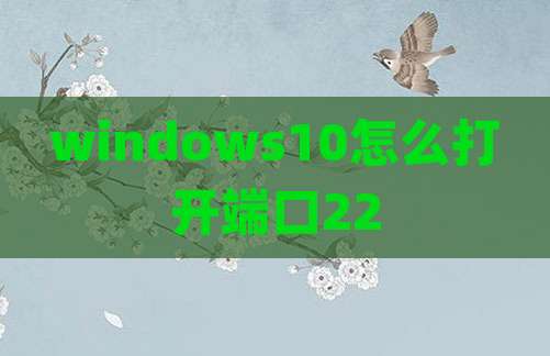 windows10怎么打开端口22