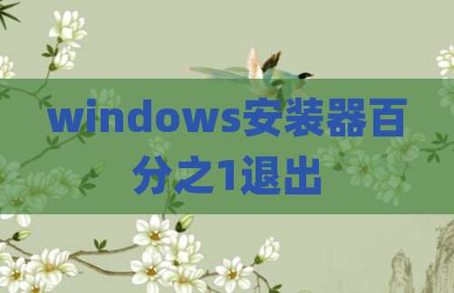windows安装器百分之1退出