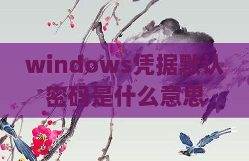 windows凭据默认密码是什么意思