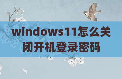 windows11怎么关闭开机登录密码