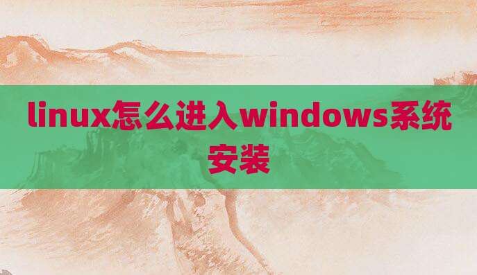 linux怎么进入windows系统安装