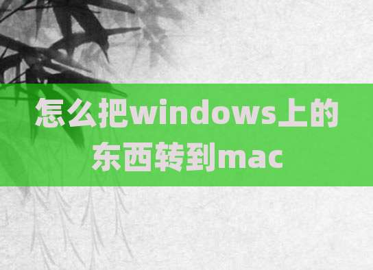 怎么把windows上的东西转到mac