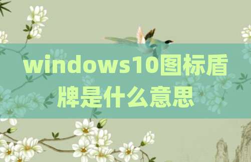 windows10图标盾牌是什么意思