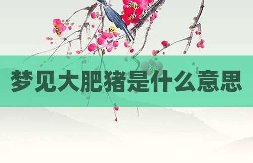 梦见大肥猪是什么意思