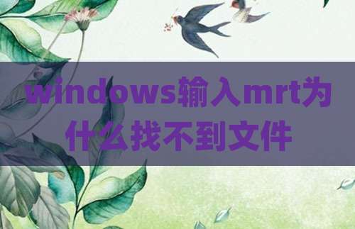windows输入mrt为什么找不到文件