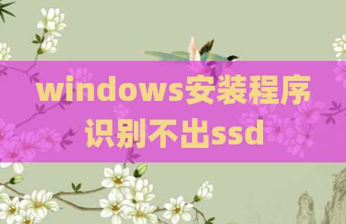 windows安装程序识别不出ssd