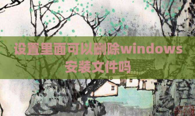 设置里面可以删除windows安装文件吗