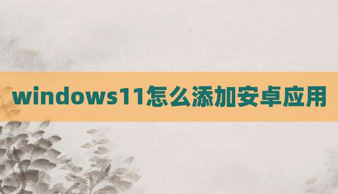 windows11怎么添加安卓应用