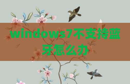 windows7不支持蓝牙怎么办