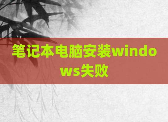 笔记本电脑安装windows失败
