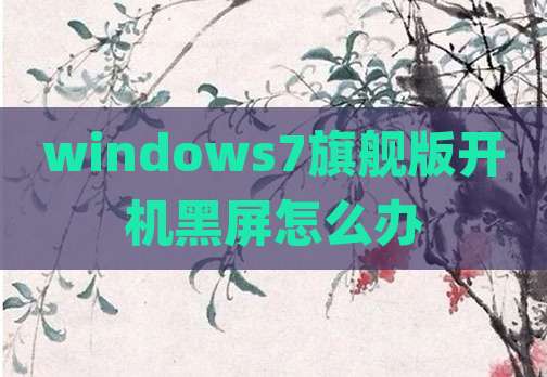 windows7旗舰版开机黑屏怎么办