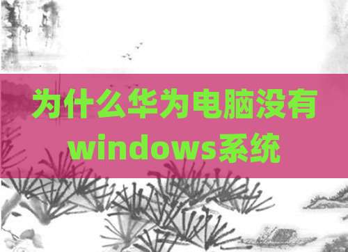 为什么华为电脑没有windows系统