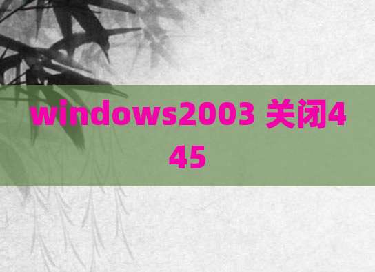 windows2003 关闭445